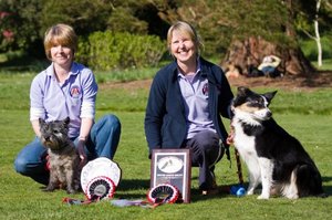 Winter League Successes