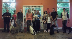 KC Puppy Assessment Successes