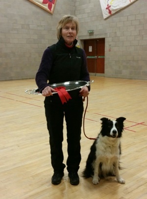 Bangor Dog Obedience Show