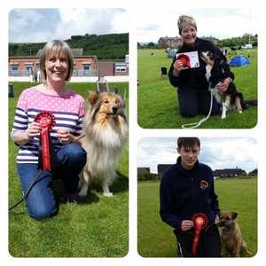 Glandore  Open Obedience and Agility Show